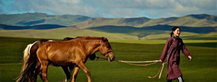 Probike Mongolia